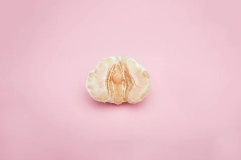Fruits-013